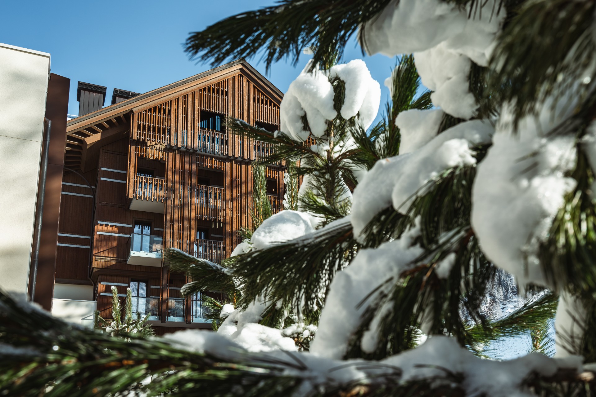 The Chedi Andermatt main house photographed from the outside through a branch of a fir tree.