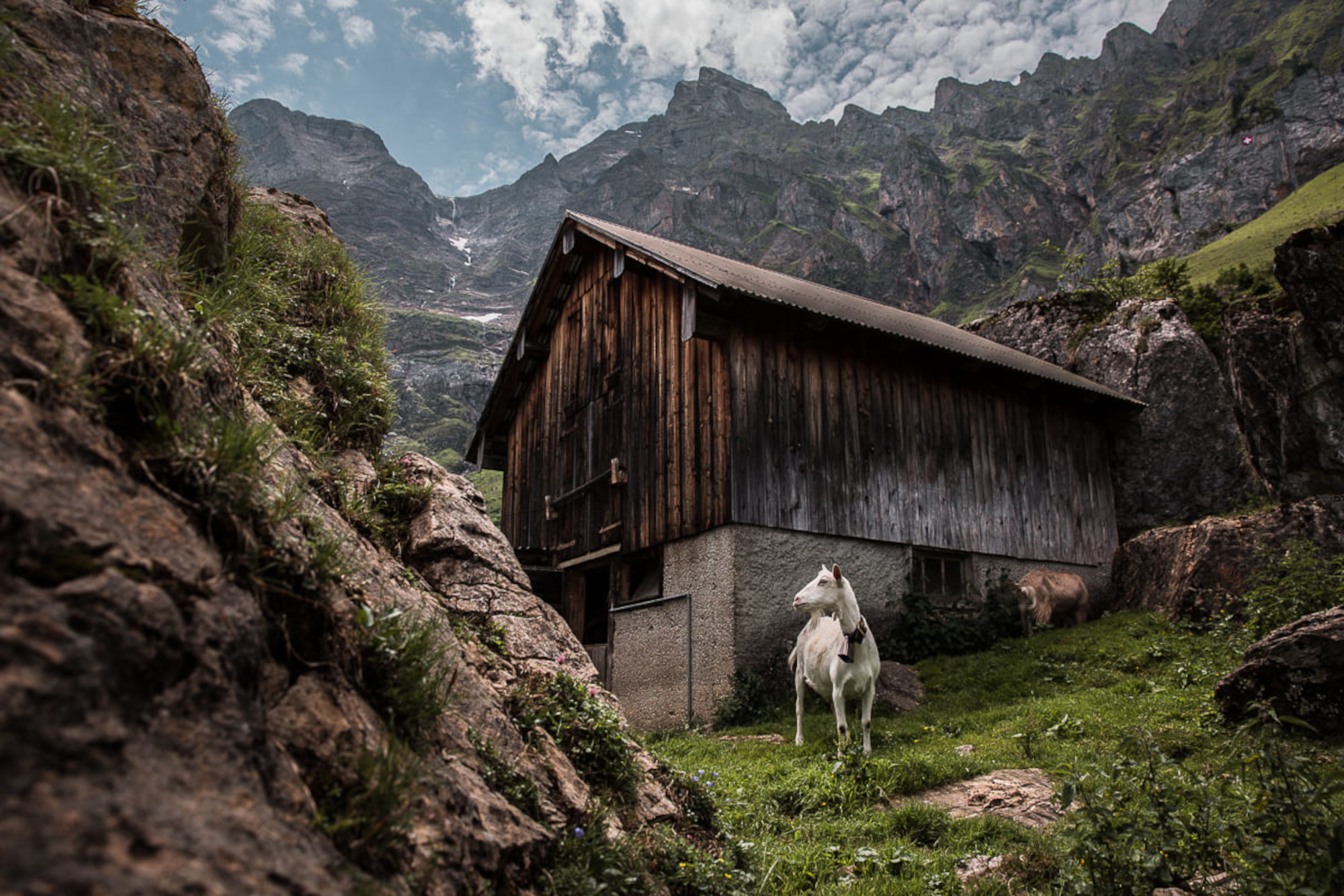 A Horse Standing In Front Of A Cabin In The Mountains